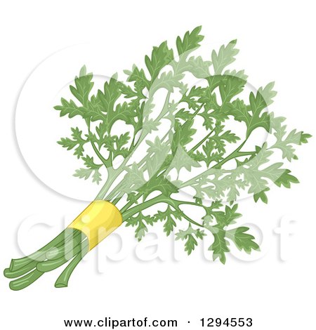 Clipart of a Bunch of Fresh Parsley - Royalty Free Vector Illustration by BNP Design Studio