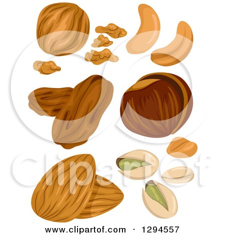 Clipart of Black and White Cashew Fruits, Nuts and Leaves