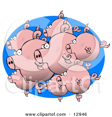 Group of Schooling Pig Fishies Clipart Graphic Illustration by djart