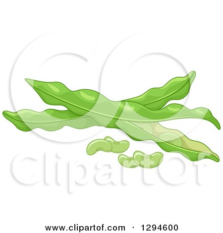 Clipart of Fresh Lima Beans and Pods - Royalty Free Vector Illustration by BNP Design Studio