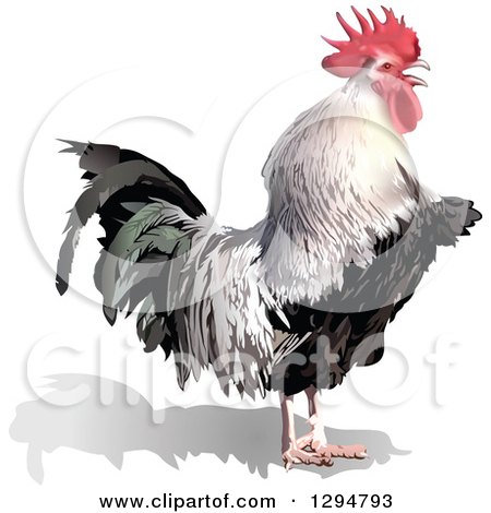 Clipart of a 3d Rooster Facing Right - Royalty Free Vector Illustration by dero