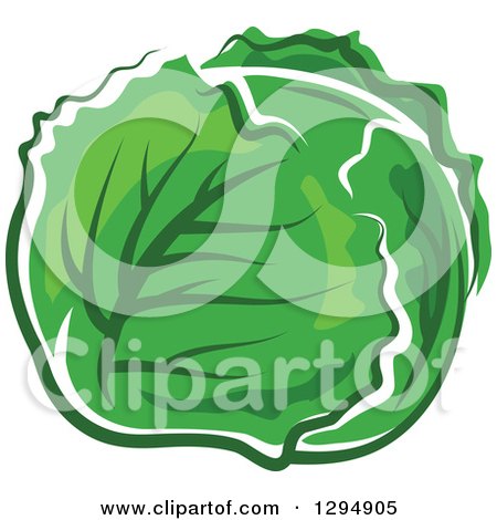 Clipart of a Head of Green Cabbage - Royalty Free Vector Illustration by Vector Tradition SM