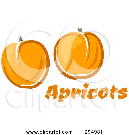 Clipart of Two Apricots over Text - Royalty Free Vector Illustration by Vector Tradition SM
