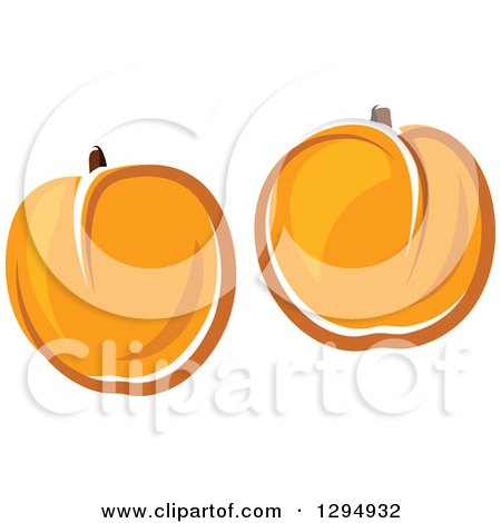 Clipart of Two Apricots - Royalty Free Vector Illustration by Vector Tradition SM