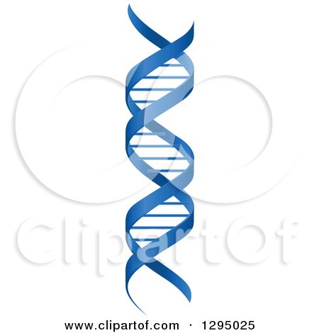 Clipart of a 3d Blue Ribbon Dna Double Helix Cloning Strand - Royalty Free Vector Illustration by Vector Tradition SM