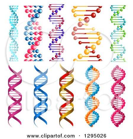 Clipart of 3d Colorful Dna Double Helix Cloning Strands - Royalty Free Vector Illustration by Vector Tradition SM