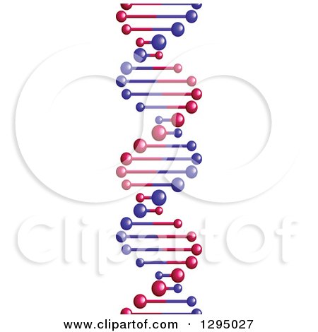 Clipart of a 3d Purple and Pink Dna Double Helix Cloning Strand - Royalty Free Vector Illustration by Vector Tradition SM