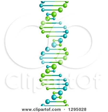 Clipart of a 3d Lime Green and Blue Dna Double Helix Cloning Strand - Royalty Free Vector Illustration by Vector Tradition SM