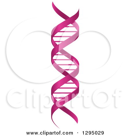 Clipart of a 3d Pink Ribbon Dna Double Helix Cloning Strand - Royalty Free Vector Illustration by Vector Tradition SM