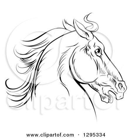 Clipart of a Black Engraved Horse Head Facing Right - Royalty Free Vector Illustration by AtStockIllustration