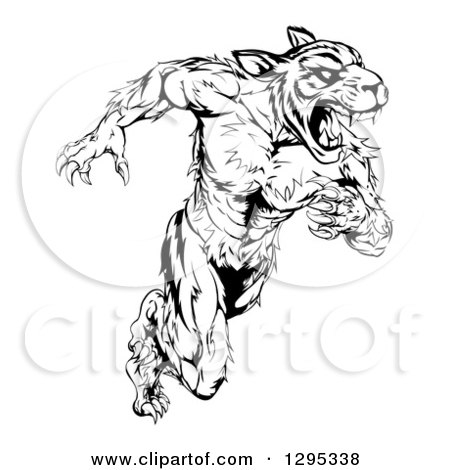 Clipart of a Black and White Angry Fierce Muscular Sprinting Tiger Man Mascot - Royalty Free Vector Illustration by AtStockIllustration