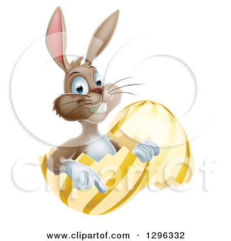 Clipart of a Happy Brown Easter Bunny Sitting and Pointing from a Gold and Yellow Egg Shell - Royalty Free Vector Illustration by AtStockIllustration