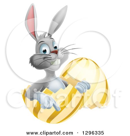 Clipart of a Happy Gray Easter Bunny Sitting and Pointing in a Gold and Yellow Egg Shell - Royalty Free Vector Illustration by AtStockIllustration