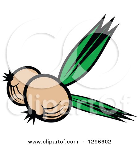 Clipart of a Cartoon Yellow Onions - Royalty Free Vector Illustration by Vector Tradition SM