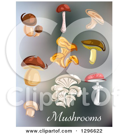 Clipart of a Variety of Mushrooms and Text on Blur - Royalty Free Vector Illustration by Vector Tradition SM