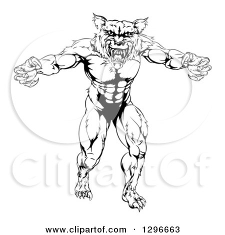 Clipart of a Black and White Muscular Wolf Mascot Standing in a Threatening Stance - Royalty Free Vector Illustration by AtStockIllustration