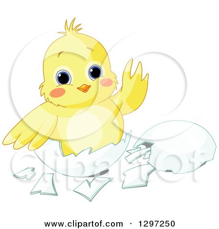 Cute Animal Clipart of an Adorable Baby Chick Waving in an Egg Shell - Royalty Free Vector Illustration by Pushkin