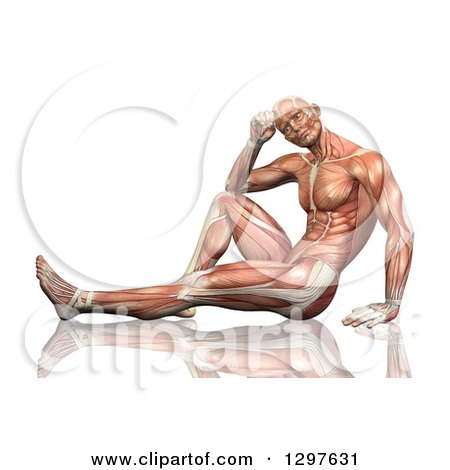 Clipart of a 3d Detailed Man with Visible Muscles, Sitting on the Floor, on White - Royalty Free Illustration by KJ Pargeter