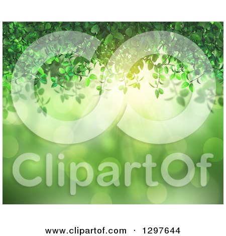 Clipart of a Background of Green Vines, Flares and Sunshine - Royalty Free Illustration by KJ Pargeter