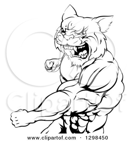 Clipart of a Black and White Tough Angry Muscular Wildcat Man Punching and Roaring - Royalty Free Vector Illustration by AtStockIllustration