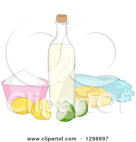 Clipart of Natural Cleaning Ingredients - Royalty Free Vector Illustration by BNP Design Studio