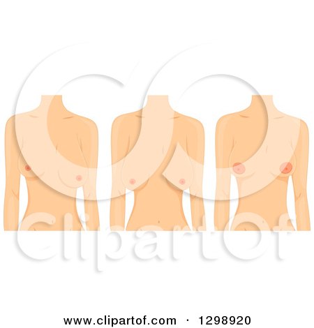 Clipart of Bodies of White Women with Different Types of Breasts - Royalty Free Vector Illustration by BNP Design Studio