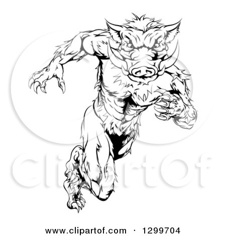 Clipart of a Black and White Aggressive Sprinting Muscular Boar Man - Royalty Free Vector Illustration by AtStockIllustration