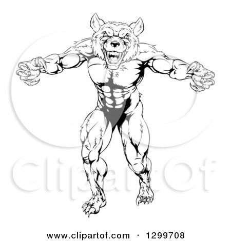 Clipart of a Black and White Muscular Wolf Man Mascot Standing in a Threatening Stance - Royalty Free Vector Illustration by AtStockIllustration