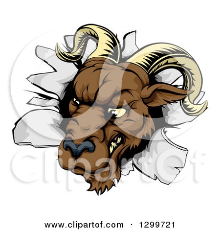 Clipart of a Brown Snarling Ram Breaking Through a Wall - Royalty Free Vector Illustration by AtStockIllustration