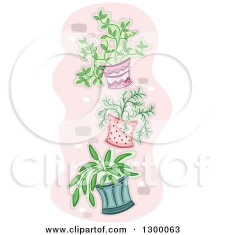 Clipart of Potted Plants Hung on a Wall - Royalty Free Vector Illustration by BNP Design Studio