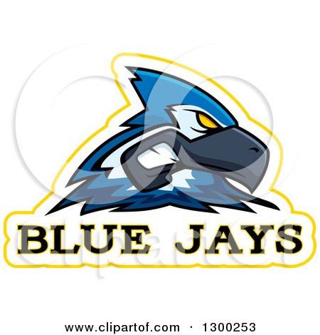 Clipart of a Tough Blue Jay Bird Mascot Head with Text - Royalty Free Vector Illustration by Cory Thoman