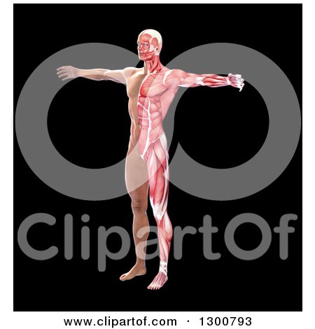 Clipart of a 3d Anatomical Man with Visible Muscles and Skin on Black - Royalty Free Illustration by Mopic