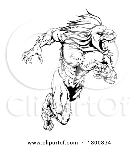 Clipart of a Black and White Aggressive Muscular Sprinting Lion Man Mascot - Royalty Free Vector Illustration by AtStockIllustration