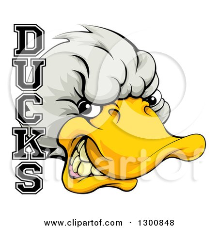 Clipart of a Tough White Duck Mascot Head and Text - Royalty Free Vector Illustration by AtStockIllustration