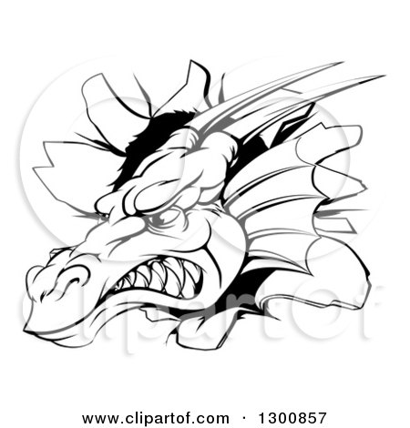 Clipart of a Snarling Fierce Black and White Dragon Mascot Head Breaking Through a Wall - Royalty Free Vector Illustration by AtStockIllustration