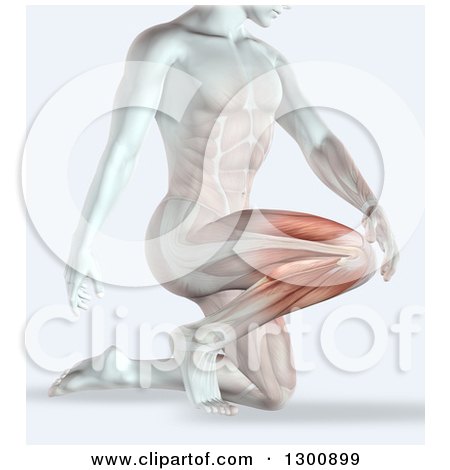 Clipart of a 3d Anatomical Xray Man Kneeling with Vible Muscles and Knee Pain - Royalty Free Illustration by KJ Pargeter