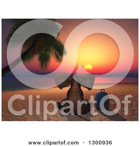 Clipart of a Rear View of a 3d Elephant Sitting with a Suitcase on a Tropical Beach at Sunset - Royalty Free Illustration by KJ Pargeter