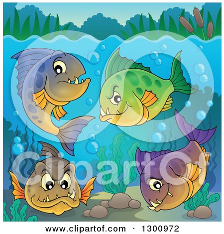 Clipart of a Group of Carnivorous Piranha Fish Underwater, with Visible Surface - Royalty Free Vector Illustration by visekart