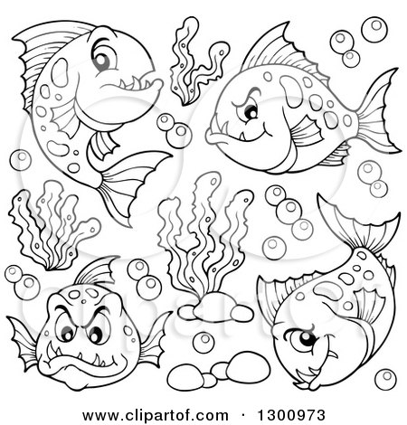 Outline Clipart of Black and White Carnivorous Piranha Fish with Bubbles and Aquatic Plants - Royalty Free Lineart Vector Illustration by visekart