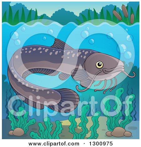 Clipart of a Freshwater Catfish Fish in a River, with Visible Surface - Royalty Free Vector Illustration by visekart