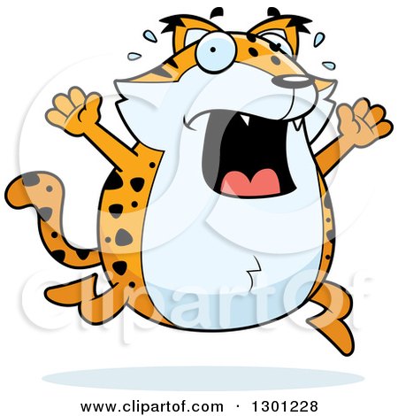 Clipart of a Cartoon Scared Chubby Bobcat Character Running and Screaming - Royalty Free Vector Illustration by Cory Thoman