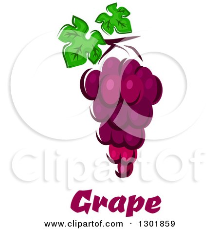 Clipart of a Bunch of Purple Grapes over Text - Royalty Free Vector Illustration by Vector Tradition SM