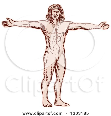 Clipart of a Sketched or Engraved Vitruvian Man - Royalty Free Vector Illustration by patrimonio