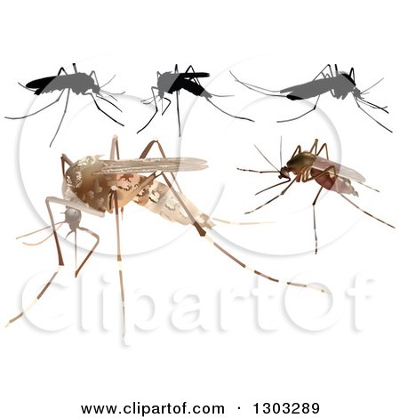 Clipart of Mosquitoes - Royalty Free Vector Illustration by dero