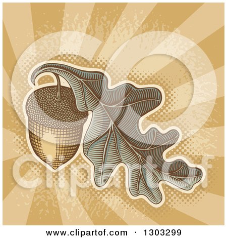 Clipart of Engraved Acorn and Oak Leaf over Grungy Brown Rays and Halftone - Royalty Free Vector Illustration by Any Vector