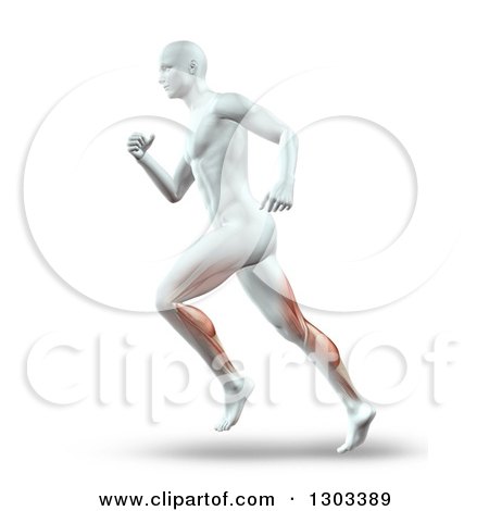Clipart of a 3d Anatomical White Male Running with Visible Leg Muscles, on White - Royalty Free Illustration by KJ Pargeter