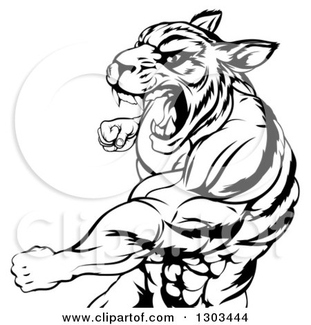 Clipart of a Black and White Vicious Roaring Muscular Tiger Man Punching - Royalty Free Vector Illustration by AtStockIllustration