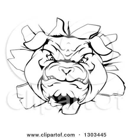 Clipart of a Black and White Vicious Bulldog Breaking Through a Wall - Royalty Free Vector Illustration by AtStockIllustration