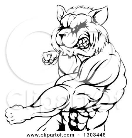 Clipart of a Black and White Muscular Raccoon Man Mascot Punching from the Hips up - Royalty Free Vector Illustration by AtStockIllustration