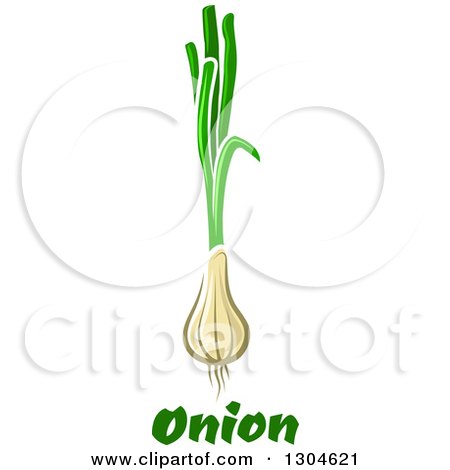 Clipart of Green Onions or Scallions over Text - Royalty Free Vector Illustration by Vector Tradition SM